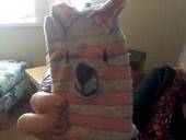 Hand Stitched Bear Ipod Sock