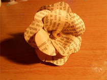 Paper Roses