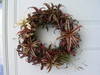 Small_full_p1010004_1320610458