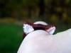 Small_full_061-1_1320620513