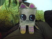 Squidkitten Cube