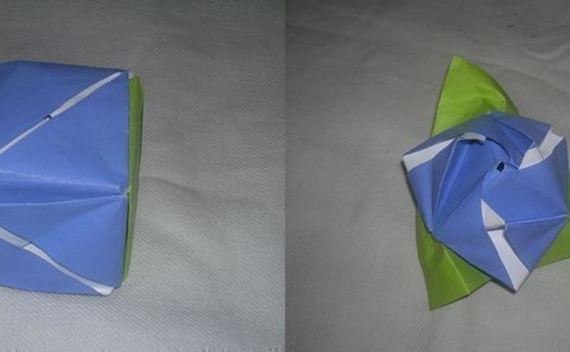 Rose Cube