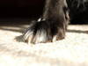 Small_full_dsc_0120_1321808726