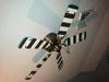 Small_full_2011-11-22_17.46.17_1322146441