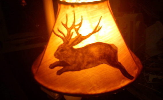 Lampshade With Jackalope
