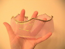 Princess Kaylin's Crown