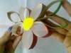 Small_full_capture21_1322338362