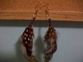 Feather Earrings