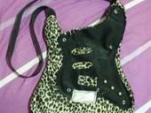 Guitar Shaped Bag