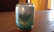 Snow Globe