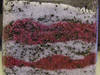 Small_full_candycanebathsalts-1