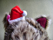 No Sew Mini Santa Hat