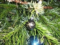 Hand Painted Christmas Balls