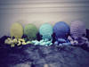 Small_full_octooooos__2__1324403878