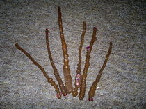 Wands Hp Style.... Again...