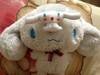 Small_full_cinna4_1324900646