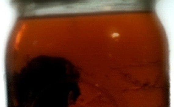 Pickled Punk