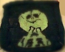 Cephalothoracopagus Bag