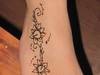 Small_full_img_7359_1325114413