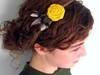 Small_full_rosetwinehyellowmodel_1325137240
