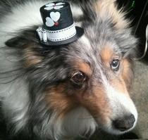 Mini Hat