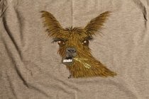 Wacky Llama