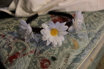 Daisies And Lace Headband