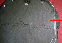 Step 9