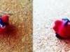 Small_angry_birds_edit