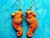 Small_seahorse__2_