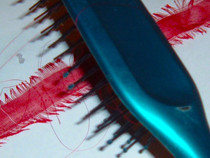 Faux Cruelty Free Fabric Feather Hair Extensions