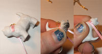 Step 3