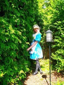 Alice In Wonderland Dress