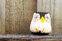 Owls 