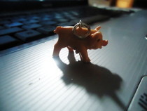 Piggy Time!!!
