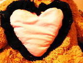 Heating Mitten Pillows