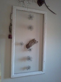 New "Window"