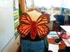 Small_2012-02-02_12.21.41