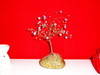 Small_dscf0008