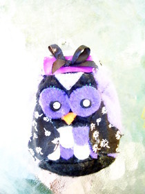 Owl Pouch