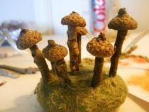 Acron Mushrooms
