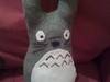 Small_photo0095