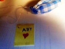 Reusable Teabag Diy