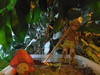 Small_dscn9957