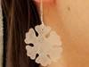 Small_dsc07646