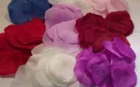 Dry Flowers... Fast!
