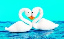 Swan Plushies