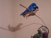 Small_p2020027