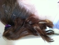 Curly Tail