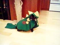 Cat Costume   Dinosaur!